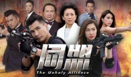 同盟第23集在线观看,揭秘暗流涌动的阴谋与背叛