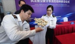 杭州海关最新爆料,跨境贸易新动态与监管举措